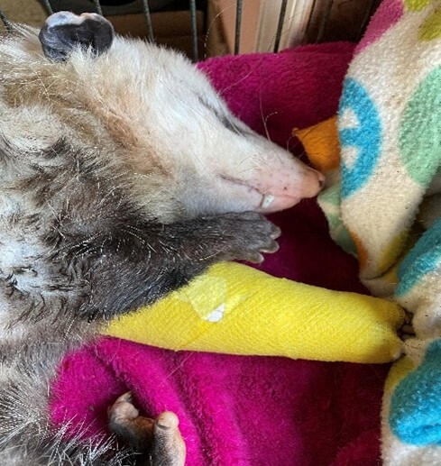 Kiss it and make it better Kiss it and make it better