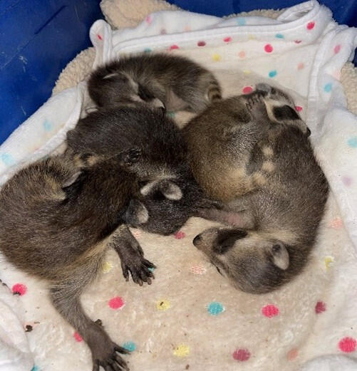 Im so tired Im so tired